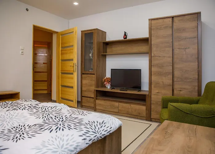 Biro Apartmanhaz Apartment *